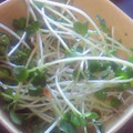 ★ぁねえ★'s cooksnap of when they made 簡単★かいわれのおかか和え.