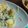 KeikoBSTN's cooksnap of when they made 意外な美味しさ♡栗のクリームパスタ♪.