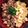 ゆーきとあき's cooksnap of when they made 簡単★そぼろと卵の２色丼.