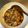 あさりす's cooksnap of when they made 20分で、大根と烏賊のオイスター煮込み.