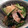 bear＆lily's cooksnap of when they made ささみとわかめの酢の物.