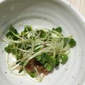 みゆ♪゛'s cooksnap of when they made あと一品に簡単！カイワレとかつお節の和物.