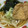 のづたん's cooksnap of when they made 我が家のきつねうどんのあげ.