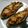vinne's cooksnap of when they made 茄子とツナのチーズ焼き.