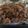 ルナＰボール's cooksnap of when they made 簡単❗牛肉のしぐれ煮.