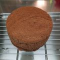 ＊bunGo＊'s cooksnap of when they made 小さなスポンジケーキ（ココア）.