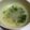 みっぱな's cooksnap of when they made 相性ぴったり★大根としめじの中華スープ.