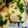 おかめー's cooksnap of when they made 簡単米粉で揚げ出し豆腐風.