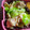 YRmammy's cooksnap of when they made ささみとキャベツの柚子胡椒マヨ和え♪.