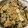 harutama's cooksnap of when they made 分量簡単！炊き込みご飯.