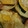 yamame6jp's cooksnap of when they made かぼちゃのピザ.