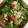 クックO9JO3W☆'s cooksnap of when they made ささみとアボカド　柚子胡椒味噌ソースで♪.
