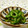赤い電話's cooksnap of when they made 旬の ゴーヤでさっぱり おかか和え☆.