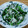 クックHPIZVM☆'s cooksnap of when they made ほうれん草としらすの小鉢.