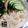 ＯＳＯＮＯ's cooksnap of when they made ✪簡単に手打ちうどん✪.