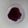 クックFIL3JC☆'s cooksnap of when they made もちもち苺わらび餅.