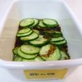 Fire-King's cooksnap of when they made キュウリのもずく酢和え.