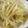 低カロ探検隊's cooksnap of when they made もやしの煮びたし.