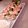 ＊ろりす＊'s cooksnap of when they made そうめん南瓜の生春巻き.