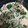 クックYAP2JX☆'s cooksnap of when they made ピーマンのツナマヨ炒め.