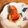 ぴよりん921's cooksnap of when they made 炙り明太子　焼き明太子　.