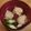 i_yokan's cooksnap of when they made ほんのり春色♡ふわふわな海老しんじょ椀.