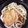 クックXX4HFY☆'s cooksnap of when they made うどんのきつね.