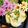 makichihua's cooksnap of when they made 簡単美味しい♪皮付きあおさのり塩ポテト♪.