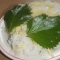 きらり流れ星's cooksnap of when they made 白御飯にぴったり♪大葉のごま油麺つゆ漬け.