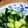 気まま庵iori's cooksnap of when they made さっぱり！でもちょいピリ辛のきゅうり.