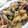 fu♪♪'s cooksnap of when they made 茄子とピーマンの味噌炒め.