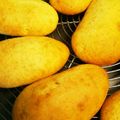 hamupuchi's cooksnap of when they made HMで簡単☆ひとくちスティックパン.