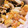 ♩キティ♩'s cooksnap of when they made 空芯菜とシーフードの中華炒め.