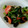 kumicyoo's cooksnap of when they made キクラゲ大好き☆トマトと青梗菜の炒め物.