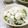 まるすけママ's cooksnap of when they made ゴーヤのしらすカッテージチーズ.