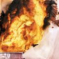 ちぃぽー's cooksnap of when they made おからとバナナのパウンドケーキ☆HM使用.