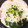 riiiママ's cooksnap of when they made 簡単 大根消費 水を使わないみぞれ鍋.