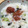 morismile's cooksnap of when they made カマスとみょうがの混ぜご飯.