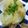 love385's cooksnap of when they made じゃが梅バター和え.