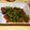 sato3★'s cooksnap of when they made レバー柔らか☆レバニラ炒め.