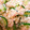 クック86HUWI☆'s cooksnap of when they made おからときゅうりとツナのマヨネーズ和え.