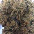 たぁこヨネ's cooksnap of when they made 古くなった漬物でリサイクル.