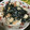 kiii0505's cooksnap of when they made 副菜に！ちくわとワカメのマヨポン和え.