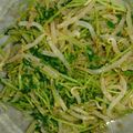 めぐみＫ's cooksnap of when they made 豆苗ともやしのポン酢あえ.