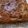 クックYPK90H☆'s cooksnap of when they made しっとり♪バナナパウンドケーキ.