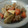 モミの実's cooksnap of when they made 我が家の筑前煮（お食い初めに）.