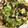 Ray0916as's cooksnap of when they made 山形の夏の定番☆山形のだし！.