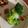 クックZ8J4H4☆'s cooksnap of when they made ドレッシングが美味☆ブロッコリーサラダ.