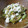 はるるるる♪'s cooksnap of when they made 苦くないよ！ゴーヤの白和え☆中華風☆.