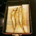 やぴやぴやっぴー's cooksnap of when they made ししゃも焼き.